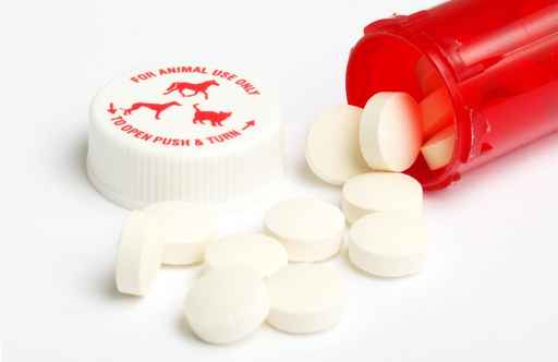 The Animal Clinic - On site pharmacy